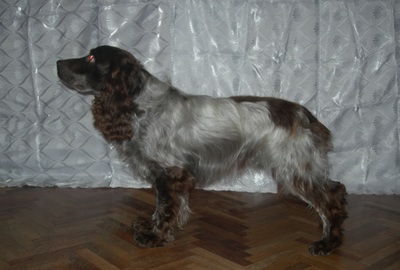 Микки 2008.jpg