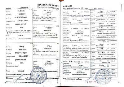 04 ros dzhekson klapchuk yag.jpg