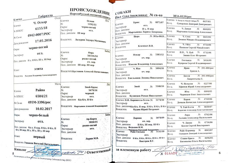 Файл:04 ros gabriehla mamurkov pyu.jpg