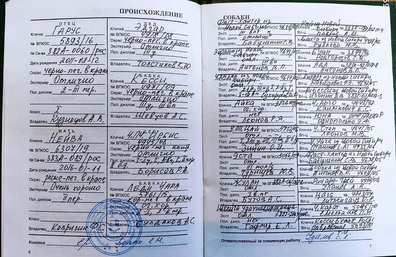 Файл:04 ros ilaj zverev an.jpg