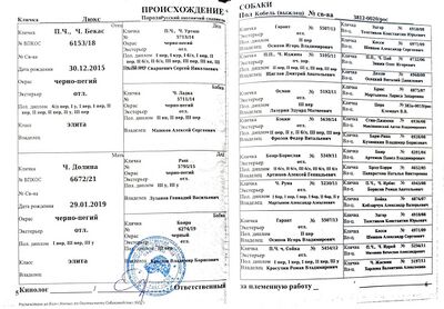 04 ros lyuks mambatov gg.jpg