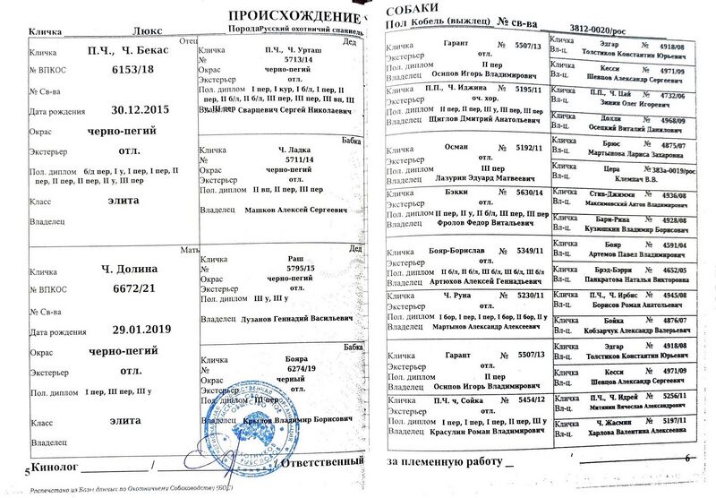 Файл:04 ros lyuks mambatov gg.jpg