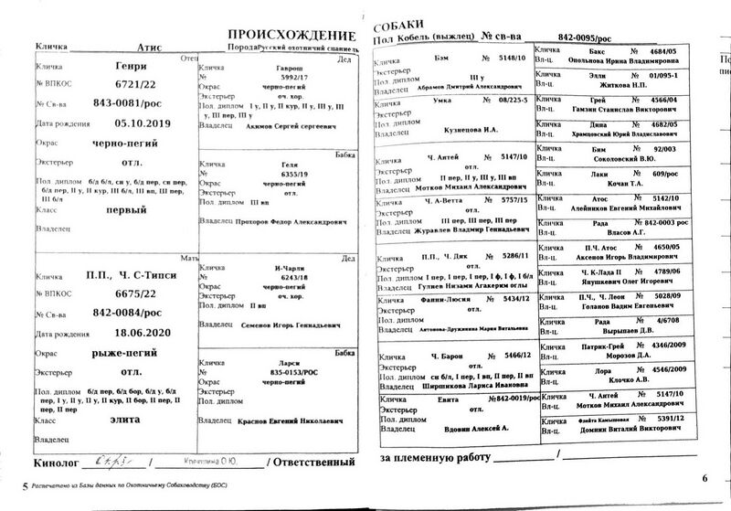 Файл:04 ros atis matyunin da.jpg