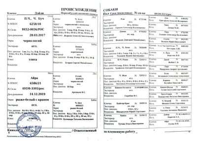 04 ros dehjzi bugayova mp.jpg
