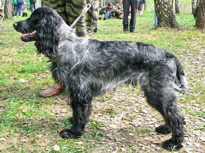 Файл:00 Stiv-ZHako Musarov AV.jpg
