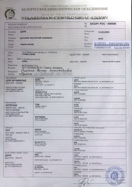Файл:01 ros cera postnik ra.jpg