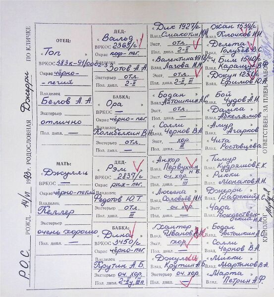 Файл:02 ros dzherri krutin ab.jpg