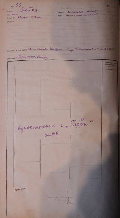 02 Tommi CHarushin EI.JPG