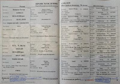 05 Radar Besedina AV.jpg