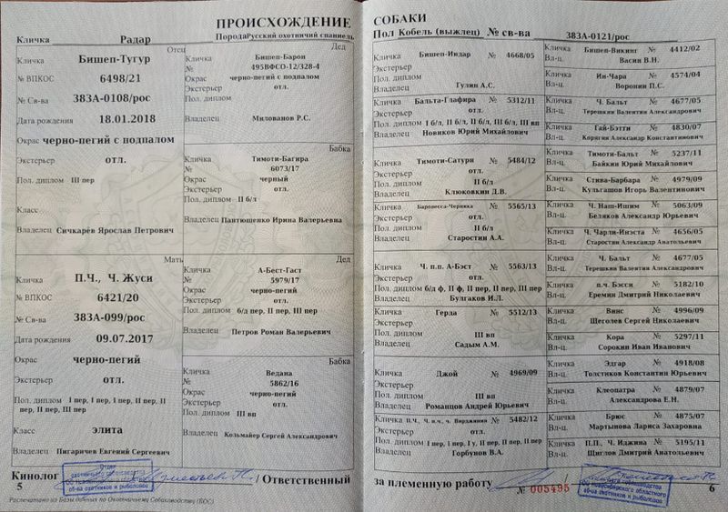 Файл:05 Radar Besedina AV.jpg