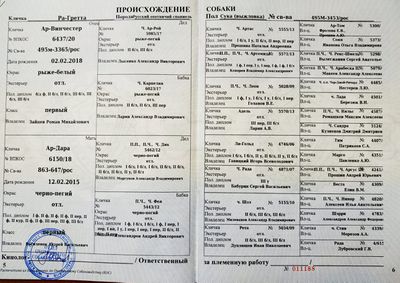 04 Ra-Gretta Babenko DV.jpg