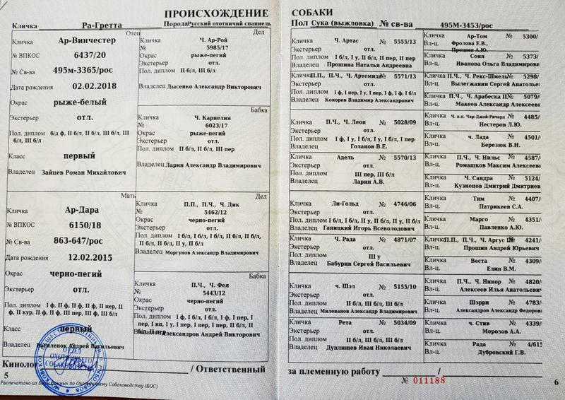 Файл:04 Ra-Gretta Babenko DV.jpg