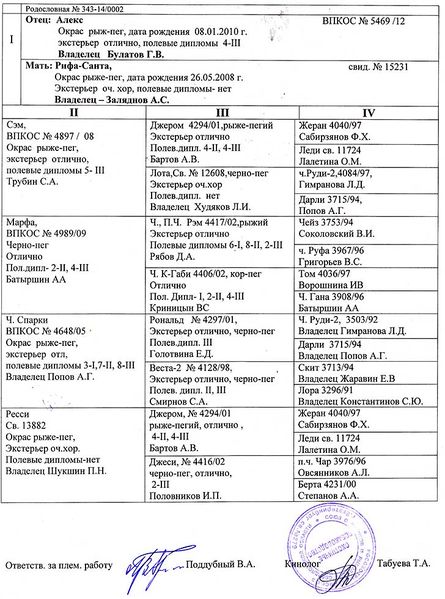 Файл:Рада-343 14 002 родословн.jpg
