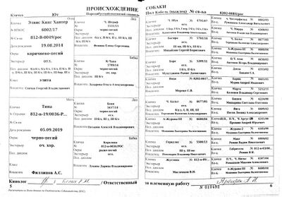 04 ros yut vasileva or.jpg