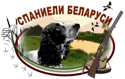 Спаниели беларуси мелкая.png