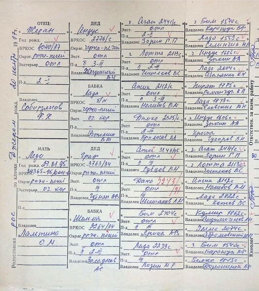 Файл:02 ros dzherom bartov av.jpg