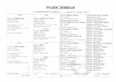 02 ros nora korzinkin rv.jpg
