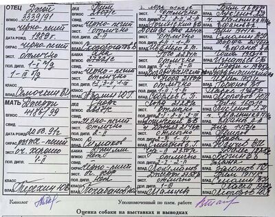 02 ros dzhulli mironov vyu.jpg