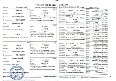 04 ros villi skif kachanov nv.jpg