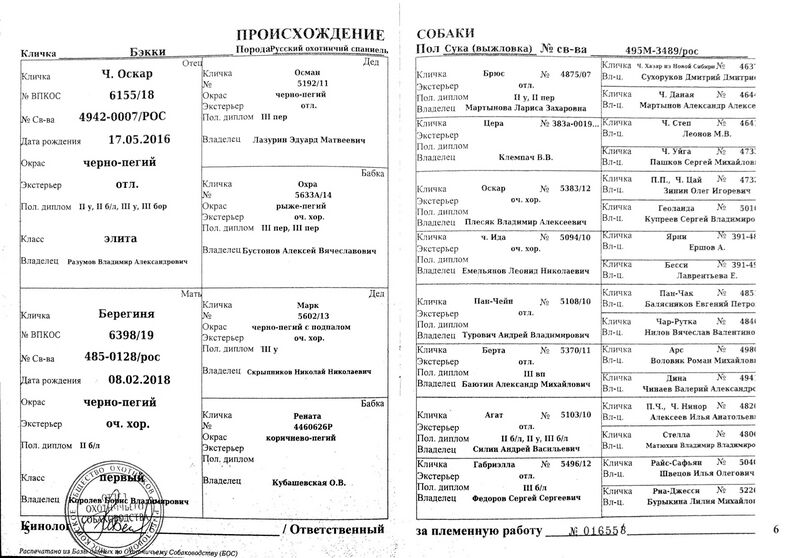 Файл:04 ros behkki novikov vv.jpg