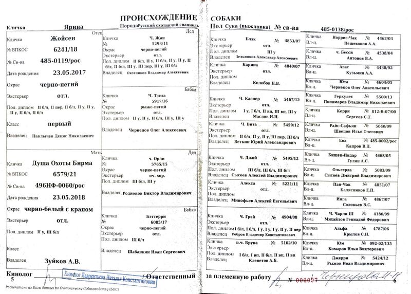 Файл:04 ros yarina brusnicin aa.jpg
