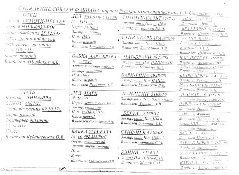 Файл:04 ros fabiana salykov ai.jpg