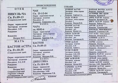 02 ros astra brut shirshikova li.jpg