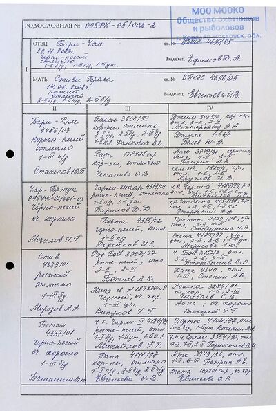 02 ros bagira stivi prozorov va.jpg