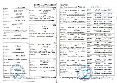04 ros r lajma krivov nyu.jpg