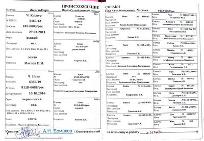 03 ros zhessi nora uhanov vv.jpg