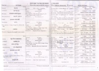 04 ros a snap baranov iv.jpg