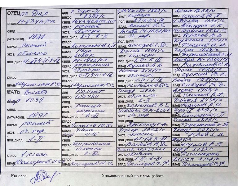 Файл:02 ros dezi kolousov.jpg