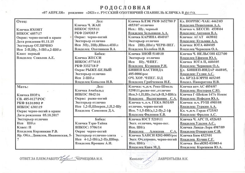 Файл:02 ros vesta demidkin va.jpg