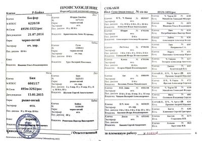 04 ros r bajka domashev di.jpg
