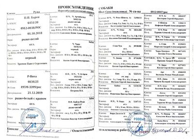 04 ros runa pileckij dn.jpg