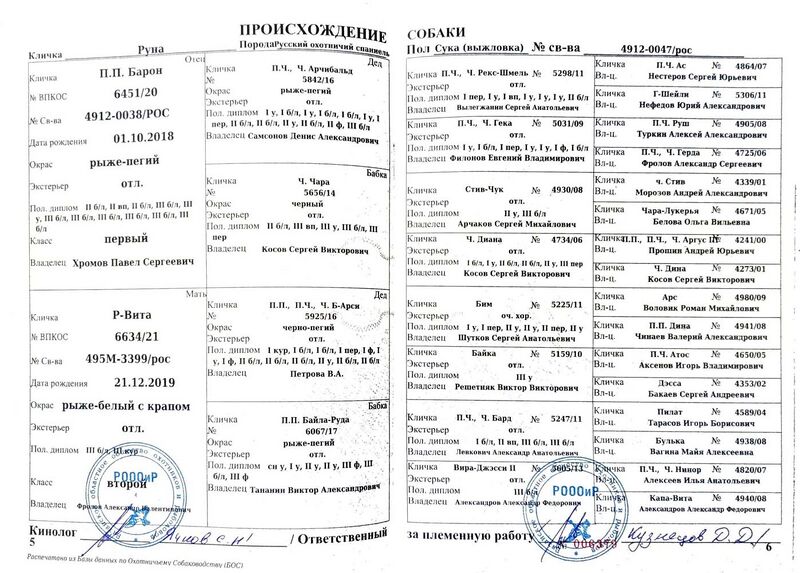 Файл:04 ros runa pileckij dn.jpg