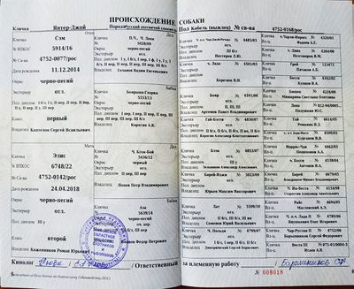 04 YAnter-Dzhoj Koptelov SV.jpg