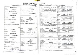 04 ros grej novik flink sg.jpg