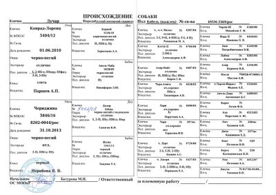 05 ros luchar gorbunov ag.jpg