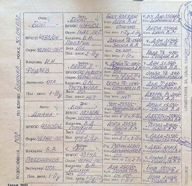 Файл:02 ros belochka kacuk oa.jpg