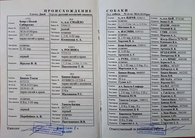 04 Dzhej Klimkovich SB.jpg