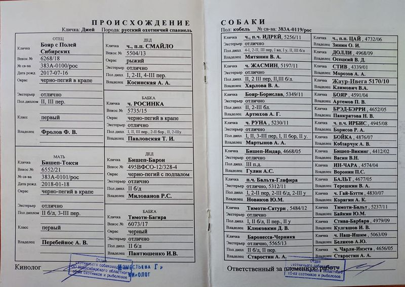 Файл:04 Dzhej Klimkovich SB.jpg