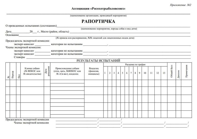 Файл:Приложение к Инструкции №2. Рапортичка.JPG