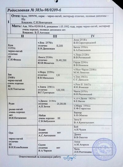 02 ros zorka iz novoj sibiri antonov vp.jpg