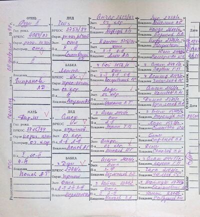 02 ros b ronald golotvina ed.jpg