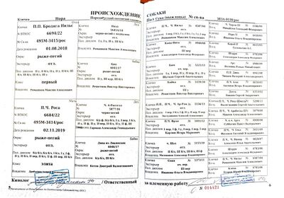04 ros nora romanenko is.jpg