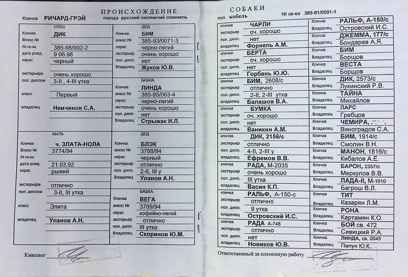 Файл:02 Richard-Grej Ulanov AN.jpg