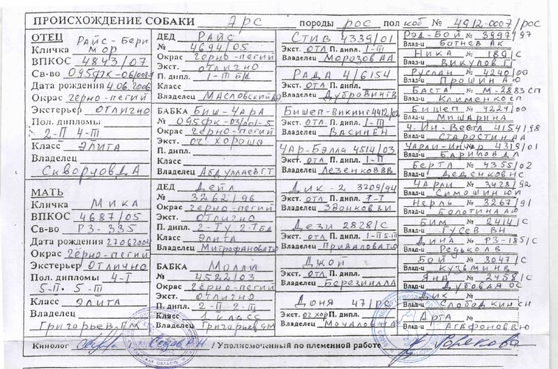 Файл:02 Ars Koldin KA.jpg