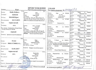 Родосл..jpeg