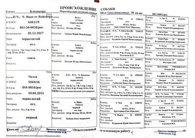 04 ros kleopatra puzanov sv.jpg